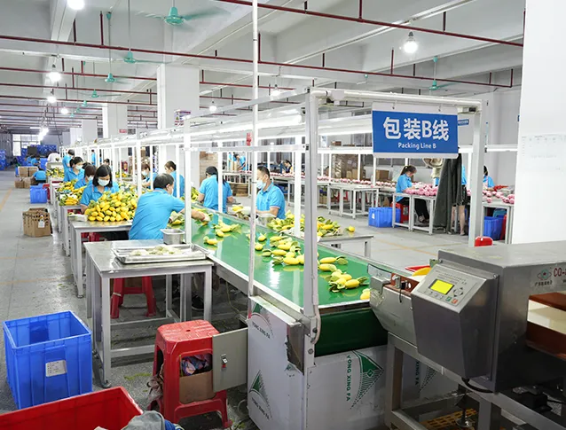 Product Packaging