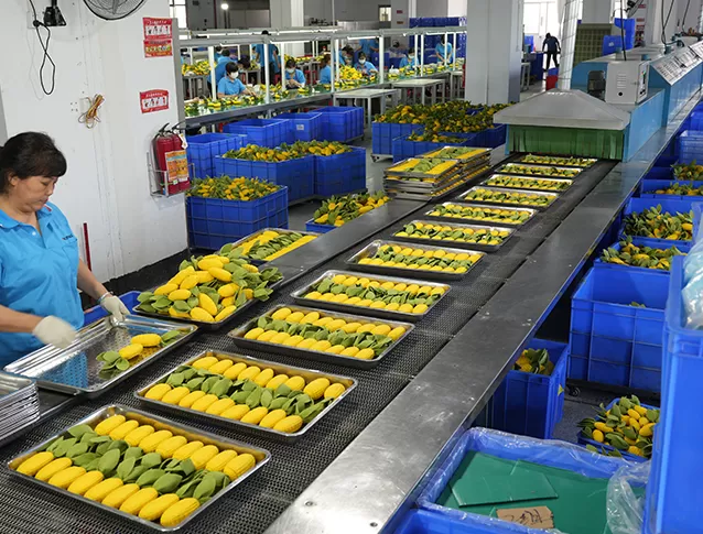 Product Inspection